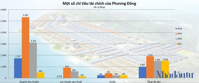 Hé mở Indevco Group - chủ dự án Phương Đông Vân Đồn - Ảnh 3.