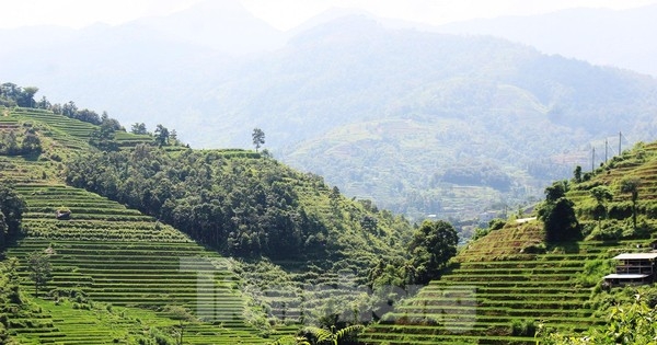 Các địa phương liên tục đấu giá đất với mức khởi điểm từ vài triệu đồng/m2 - Ảnh 2.