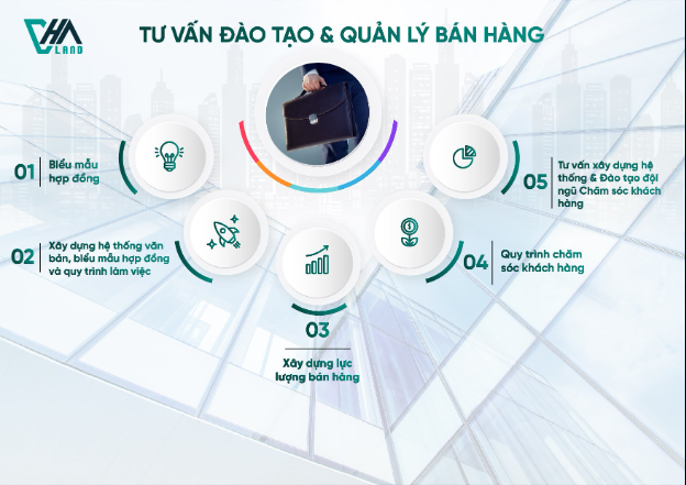 VHA cung cấp chuỗi của dịch vụ BĐS chất lượng hàng đầu thị trường - Ảnh 3.