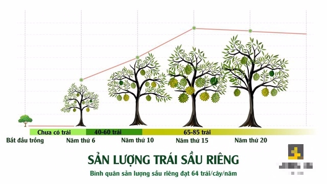 Những hình thức đầu tư bất động sản “lạ” và “nhàn” nhất năm: Bỏ vài tỷ, người mua không phải làm gì, hưởng lợi nhuận “khủng” - Ảnh 1.