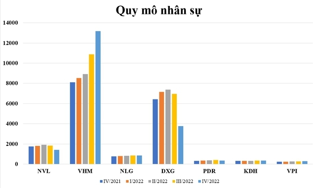 Bão sa thải càn quét bất động sản: Trong khi Đất Xanh cắt giảm hơn 3.000 người thì Vinhomes tăng đột biến nhân sự chỉ trong 3 tháng - Ảnh 1.