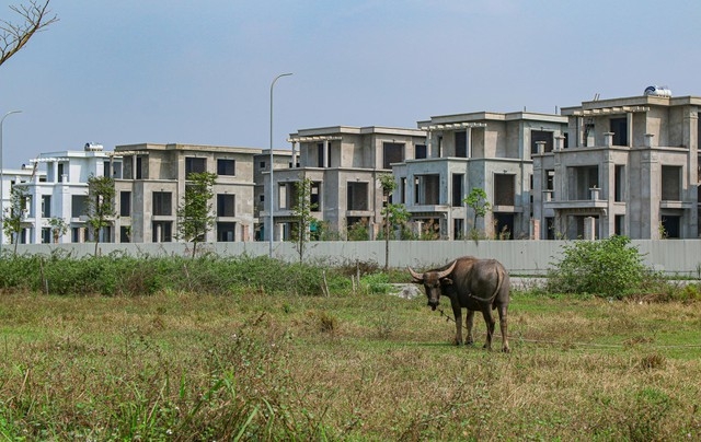 [Photo Essay] Sắp lên thành phố phía Bắc Hà Nội, làng biệt thự Mê Linh - nơi chôn vùi hàng nghìn tỷ đồng của nhà đầu tư hiện nay ra sao? - Ảnh 7.